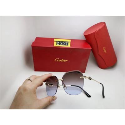 Cartier Sunglass A 025